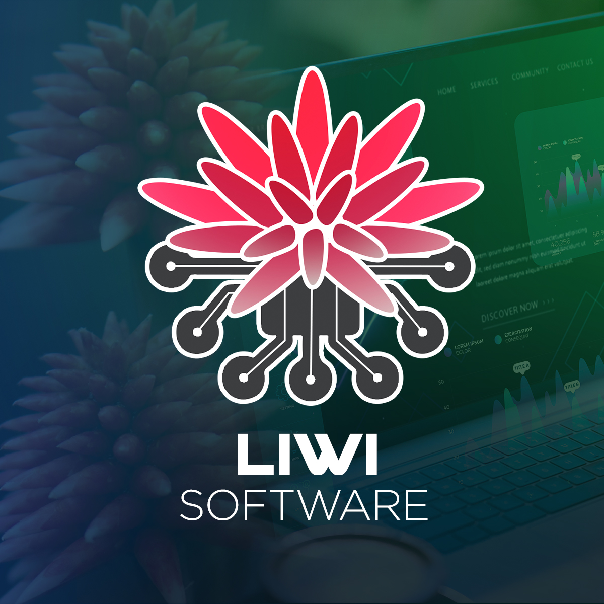 LIWI Software